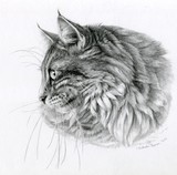 by Svetlana Ledneva-Schukina