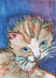 by Pamela Miller