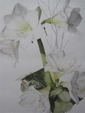 by Henny Adank