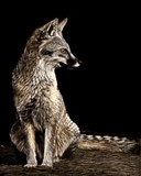 by Heather Ward
