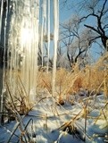 by VELYKIO - gintautas velykis -