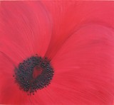 by Chloe Brooke