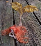by Paula McGee