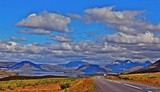 by Sigridur Bachmann