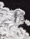 by Alicia Hansen