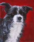 by Wendi Evans
