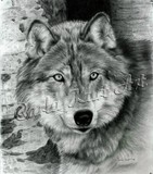 by Carla Kurt