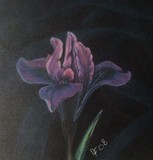 by Dixie Fowler