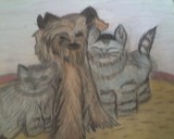 by Dianna Newby