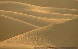 by Sanchita Mukherjee