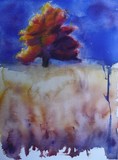 by Anne-Cecile Derrien