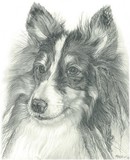 by marilyn haskin