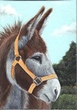 by diane deason