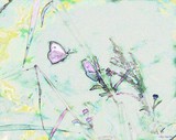 by Patricia Griffin Brett