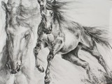by els boedts