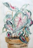 by charles Gresalfi