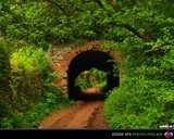 by Eddie M Kaartijer