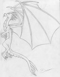 by Dual Qyrineg