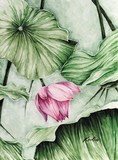 by Kirsten Neil