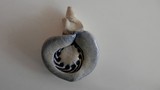 by Anna  Girgis