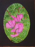 by Elizabeth Janus