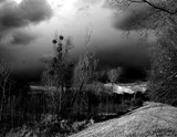 by Malwina Myk