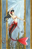 by Erin Ewer