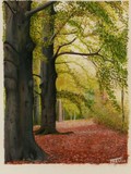by theo coenen