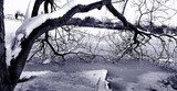 by Dawn Giunta