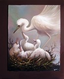 by pruthvi joshi