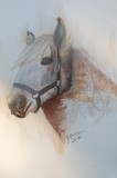 by Deborah Gorga