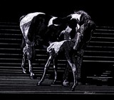 by Bobby Knezek