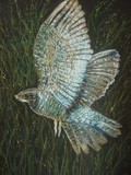 by margaret laws