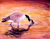 by Paul McDonald