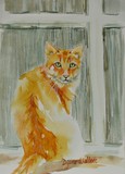 by Diane Wallace
