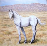by JAN GREEN