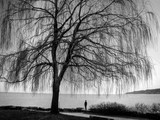 by Andy Zav