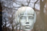 by Edward Ginsberg