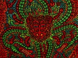 by samuel bohorquez