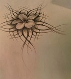 by Katya Wentz