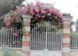 by Marie josé LAURIER