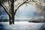 by Randi Grace Nilsberg