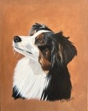 by Catherine Sandell