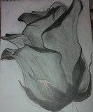 by Zeyra Art