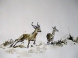 by Abhishek Rammohan
