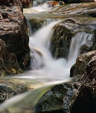 by Terry Hawthorne