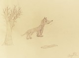 by CETJ BAIRN