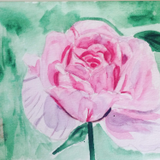 by yubirna paulino