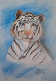 by Sara Radman yazar