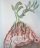 by Angella Reynolds-Screen